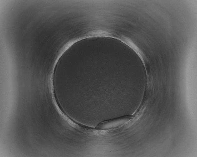 X0000111581389200907231226