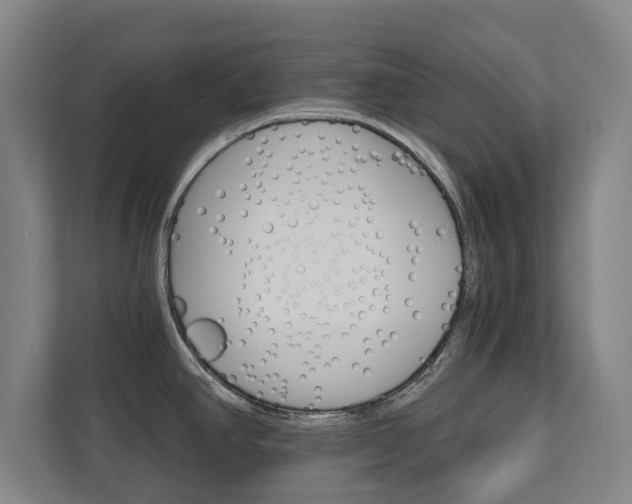 X0000111581390200907231226