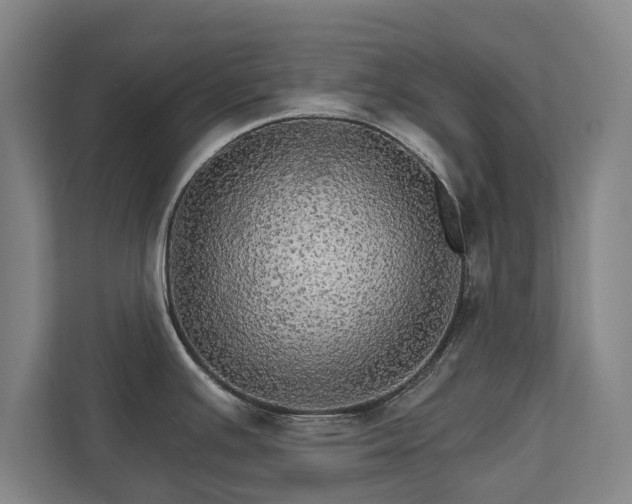 X0000111581391200907231226