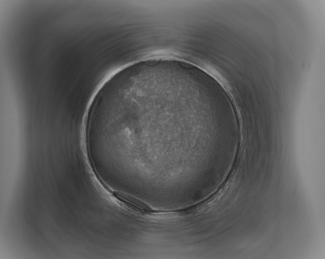 X0000111581392200907231226