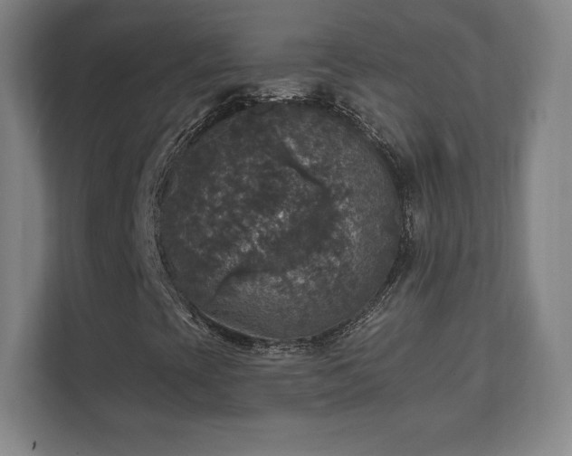 X0000111581393200907231226