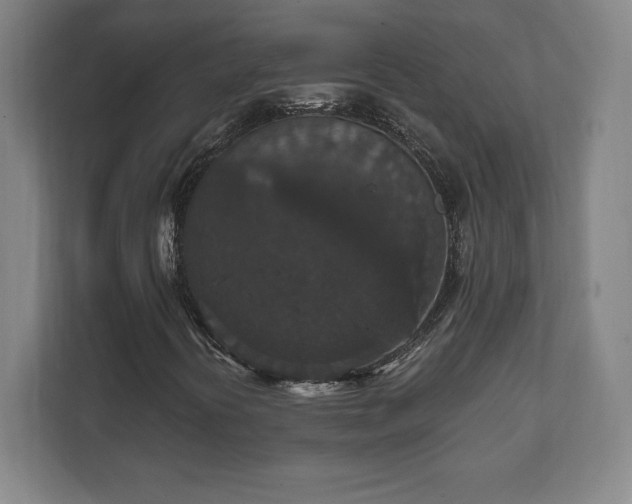 X0000111581394200907231226