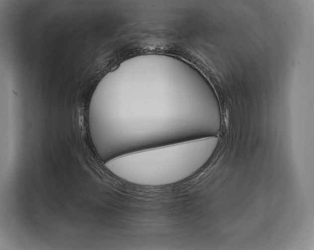 X0000111581396200907231226