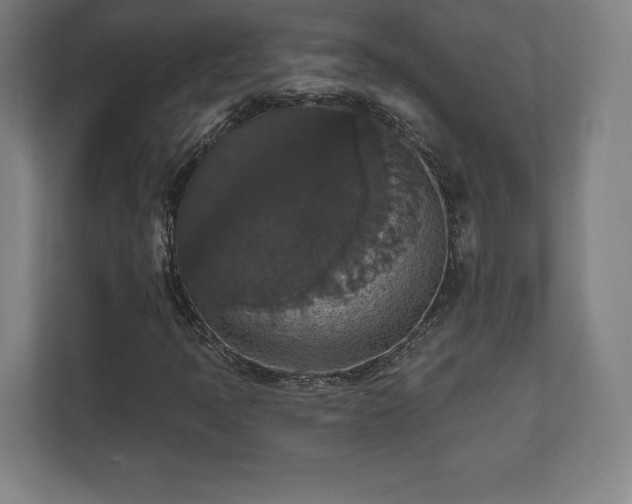 X0000111581397200907231226