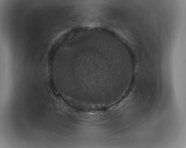 X0000111581398200907231226
