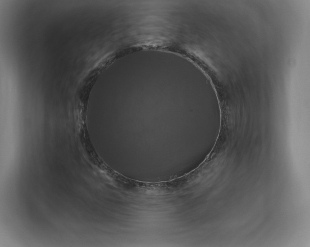 X0000111581399200907231226
