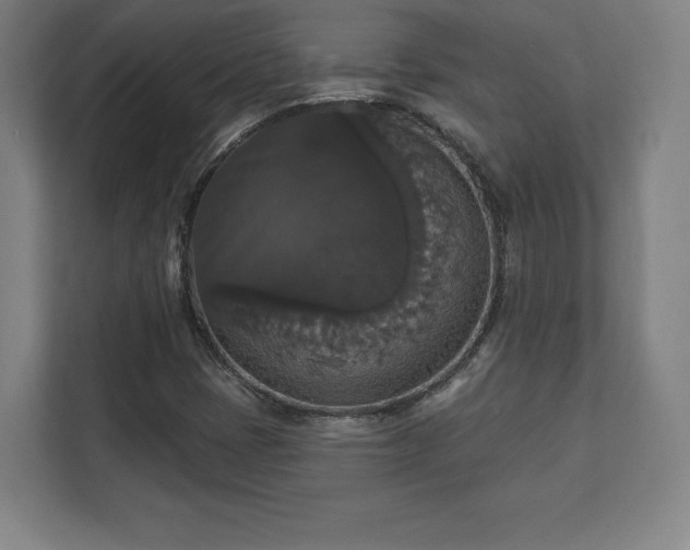 X0000111581401200907231226