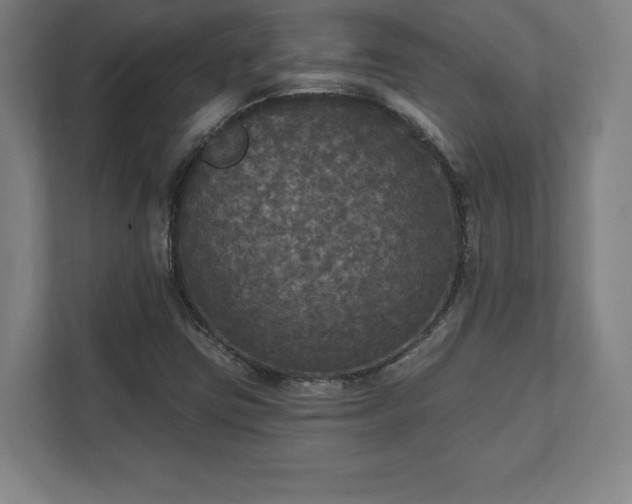 X0000111581403200907231226