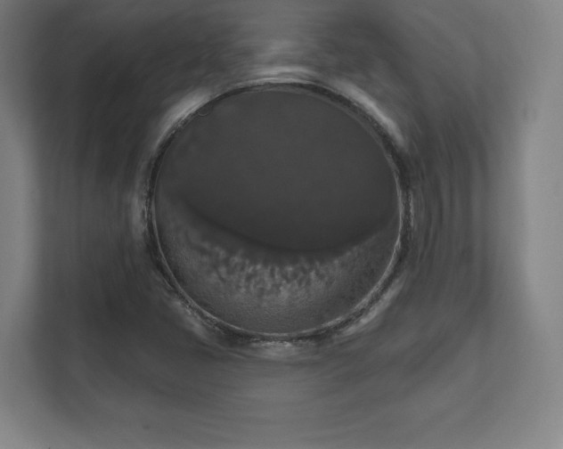 X0000111581405200907231226