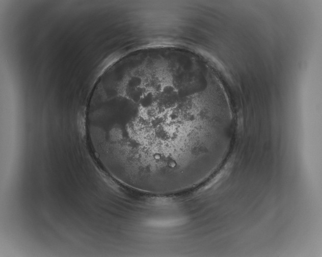 X0000111581409200907231226