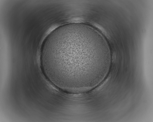X0000111581410200907231226