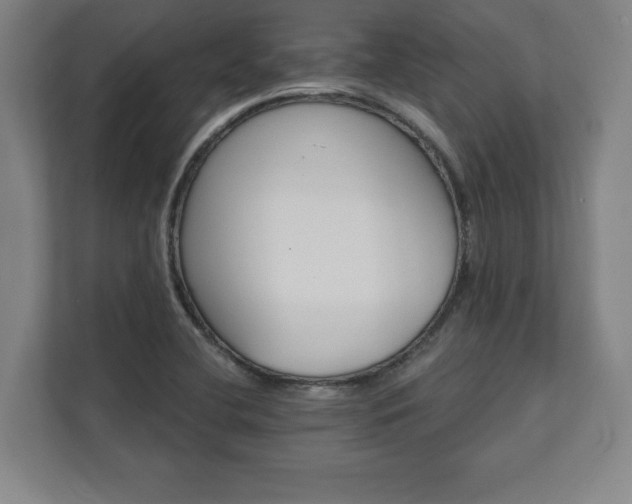 X0000111581412200907231226
