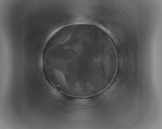 X0000111581415200907231226