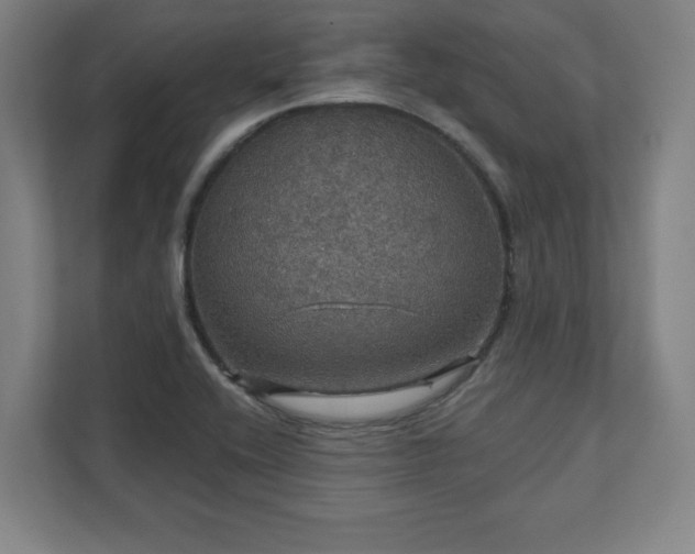 X0000111581416200907231226