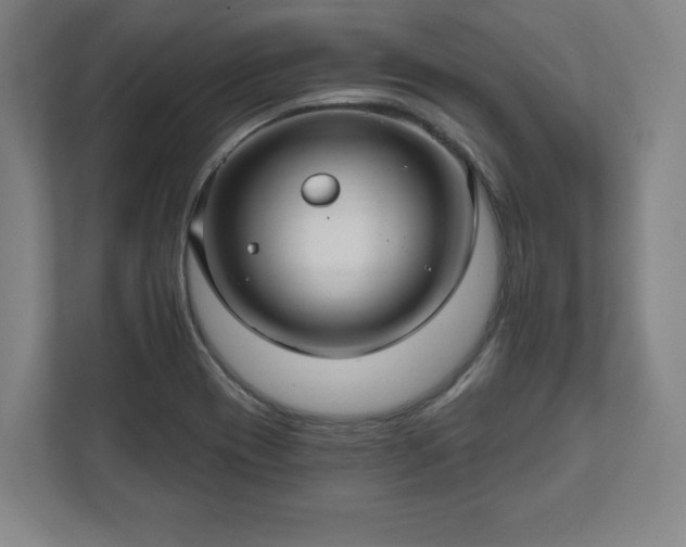 X0000111581417200907231226
