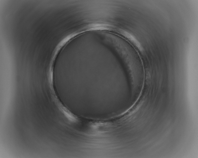 X0000111581419200907231226