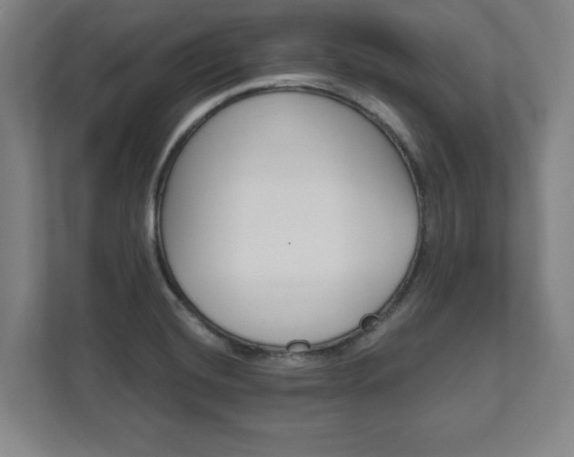 X0000111581420200907231226