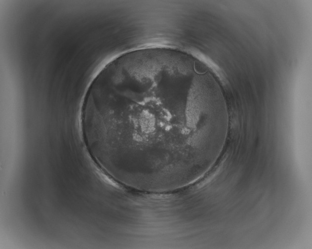 X0000111581423200907231226