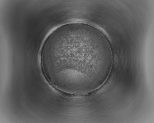 X0000111581424200907231226