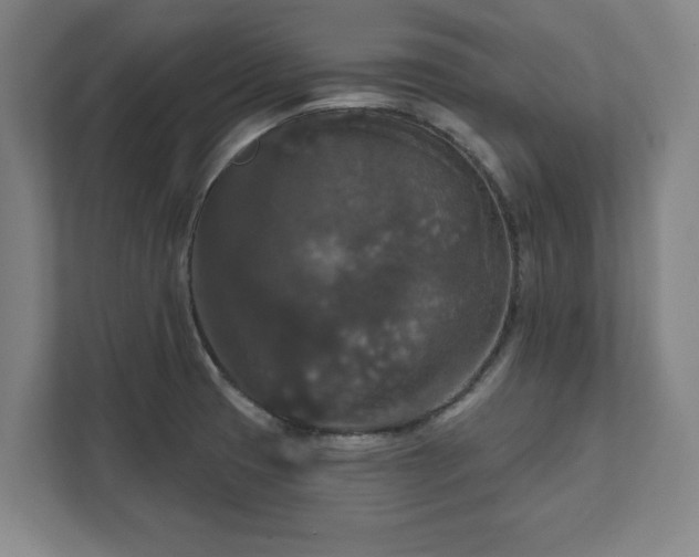 X0000111581425200907231226