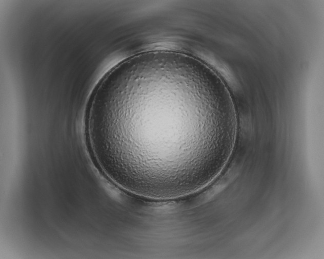 X0000111581426200907231226