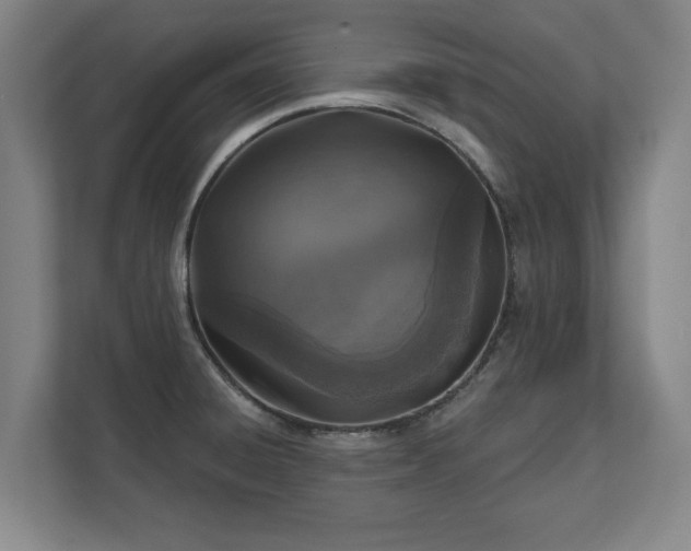 X0000111581428200907231226
