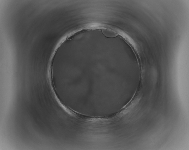 X0000111581429200907231226
