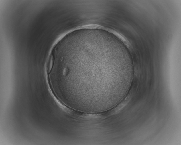 X0000111581430200907231226