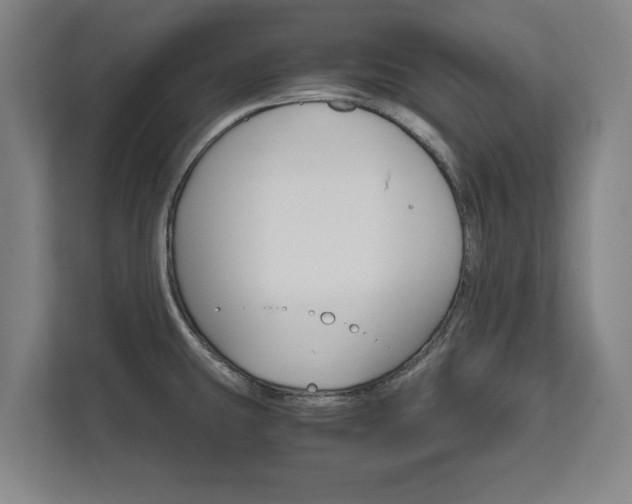 X0000111581431200907231226