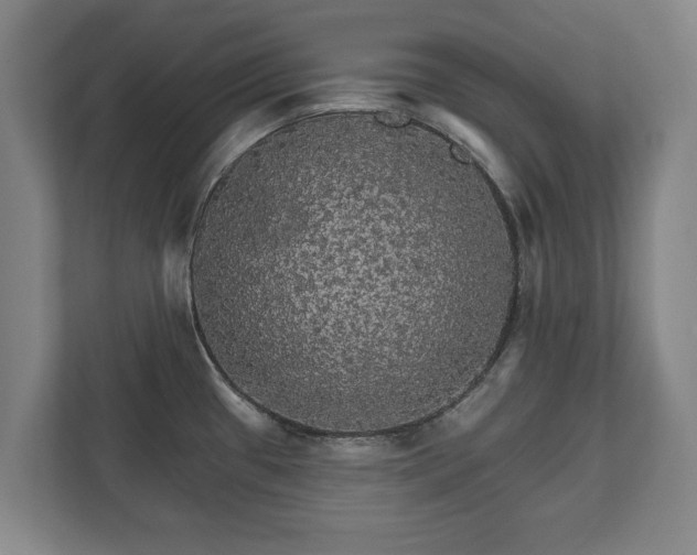 X0000111581433200907231226