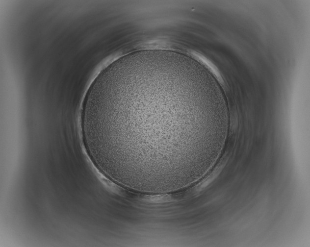 X0000111581434200907231226