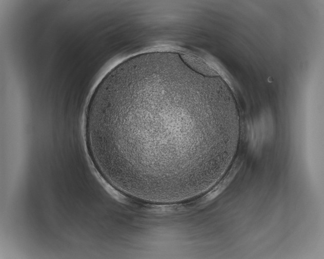 X0000111581438200907231226