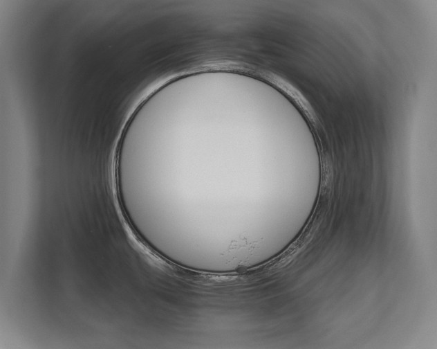 X0000111581439200907231226