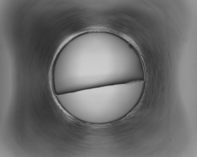X0000111581440200907231226