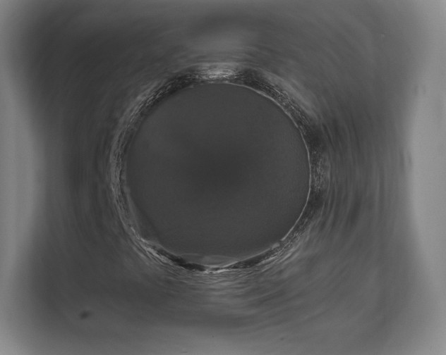 X0000111581441200907231226
