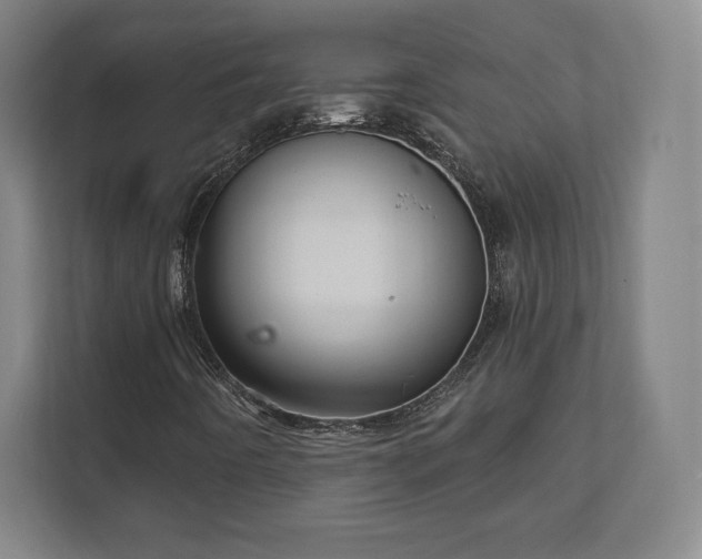X0000111581442200907231226