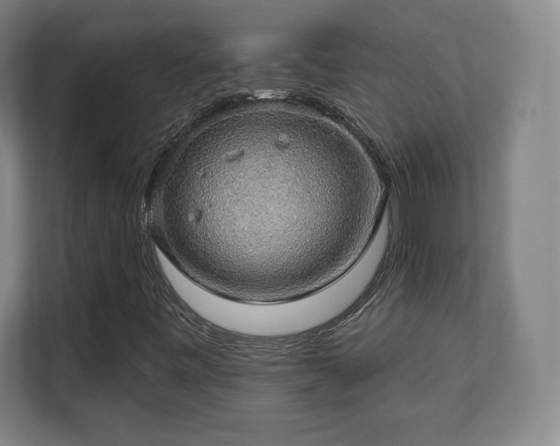 X0000111581443200907231226