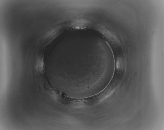 X0000111581444200907231226