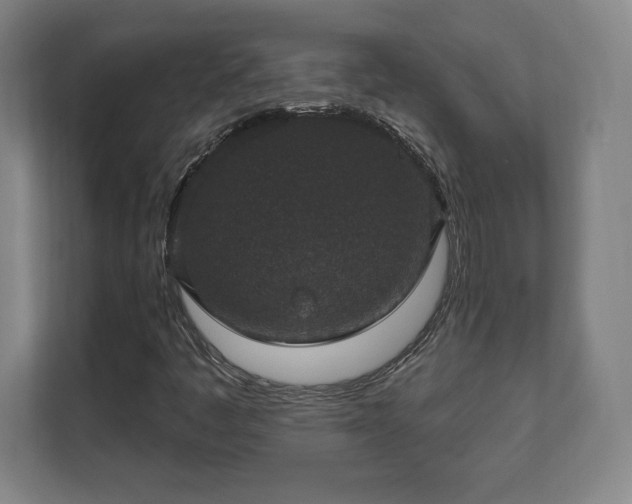 X0000111581445200907231226