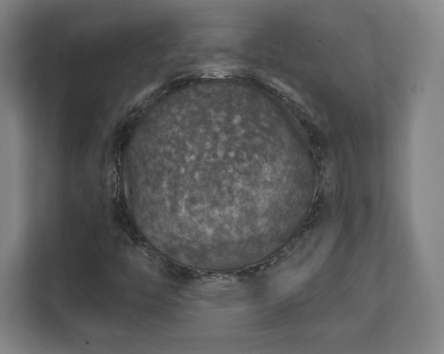 X0000111581446200907231226