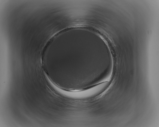 X0000111581449200907231226