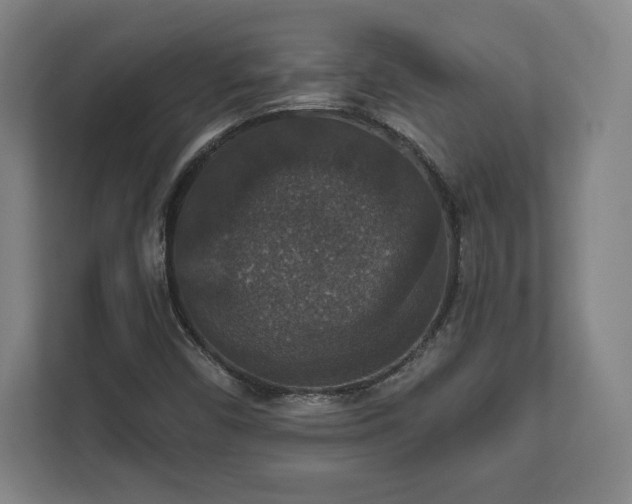 X0000111581450200907231226