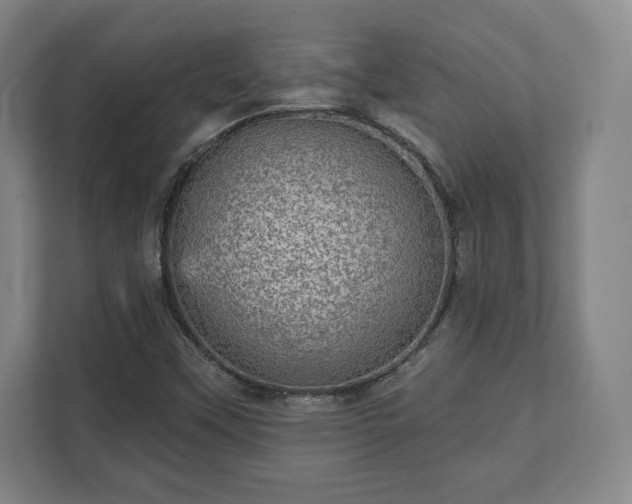 X0000111581451200907231226