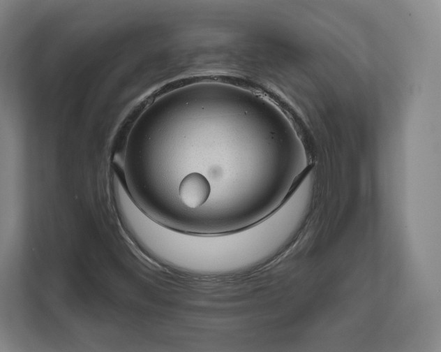 X0000111581452200907231226