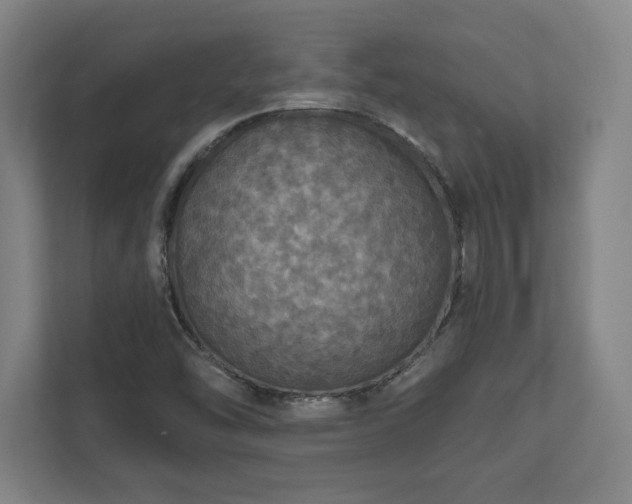 X0000111581454200907231226