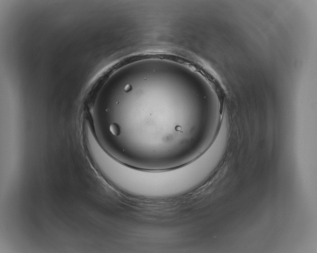 X0000111581456200907231226