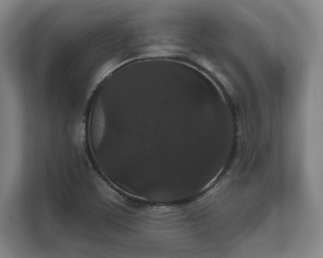X0000111581459200907231226