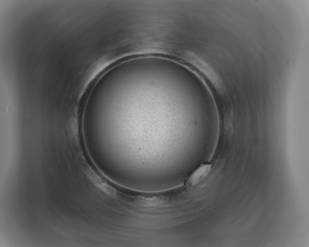 X0000111581460200907231226