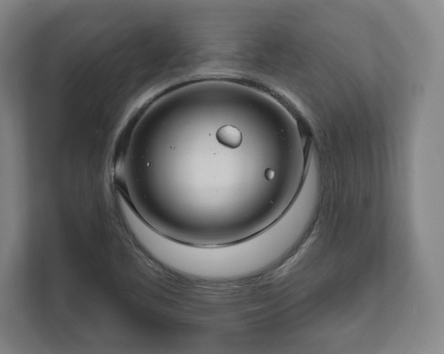 X0000111581461200907231225