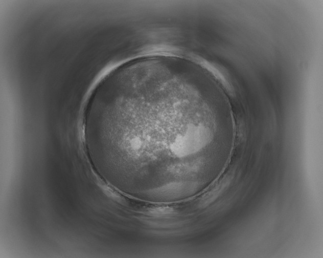 X0000111581462200907231225